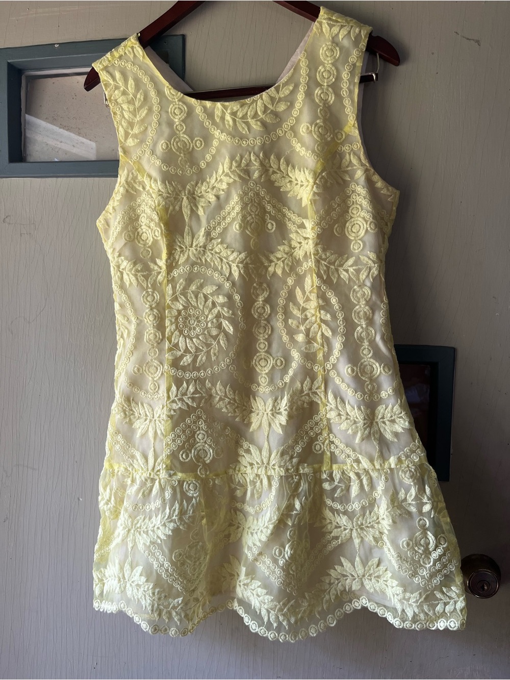 Ellison Pale Yellow Embroidered Mini Dress